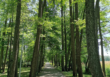 3_Veisiejų dvaro parkas (2).jpg